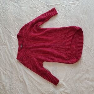 Express Women's Berry Knit Sweater
